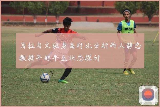 马拉与文班身高对比分析两人静态数据平起平坐状态探讨