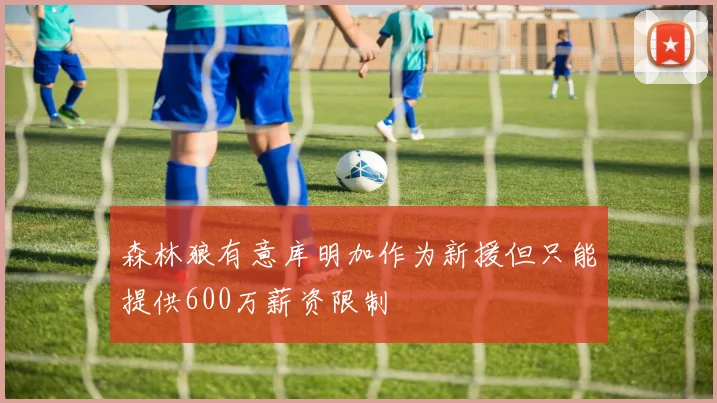 森林狼有意库明加作为新援但只能提供600万薪资限制