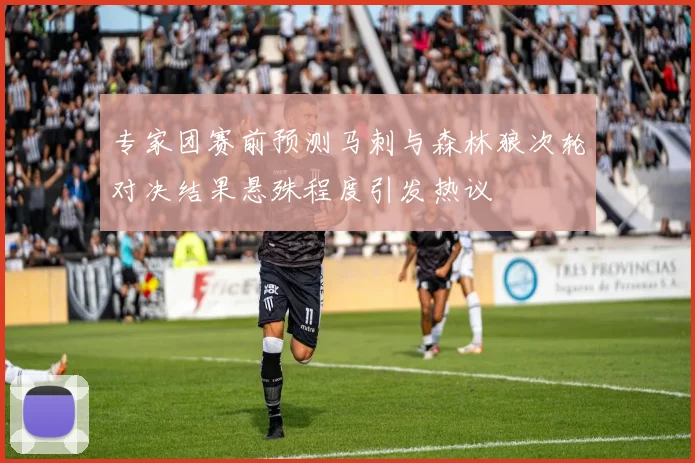 专家团赛前预测马刺与森林狼次轮对决结果悬殊程度引发热议